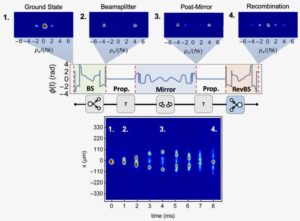 Quantum optimal control for atom interferometry